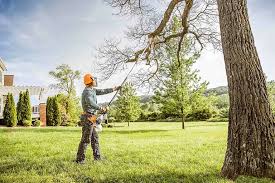 Best Aeration Services  in Laurel, MD