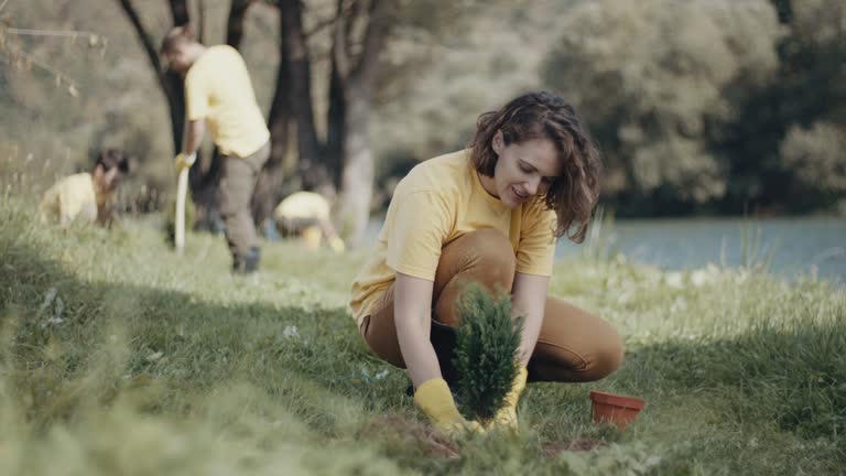 Best Lawn Drainage Solutions  in Laurel, MD