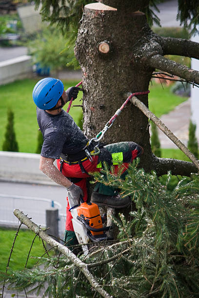 Best Commercial Tree Services  in Laurel, MD